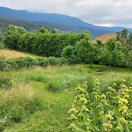 Villa Belle Maison Au Coeur Des Alpes Pinet (Isere)