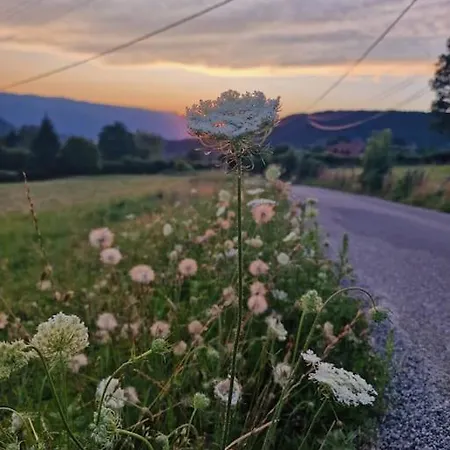 Belle Maison Au Coeur Des Alpes * Pinet (Isere)