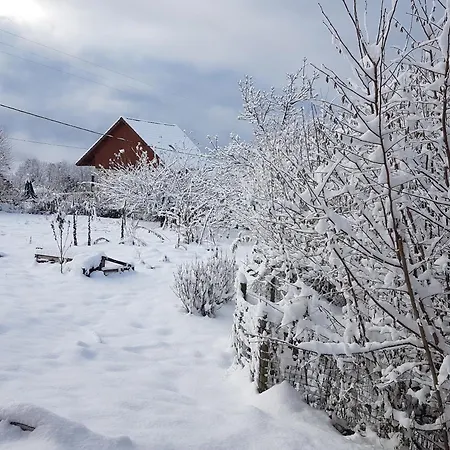 Belle Maison Au Coeur Des Alpes Villa Pinet (Isere)